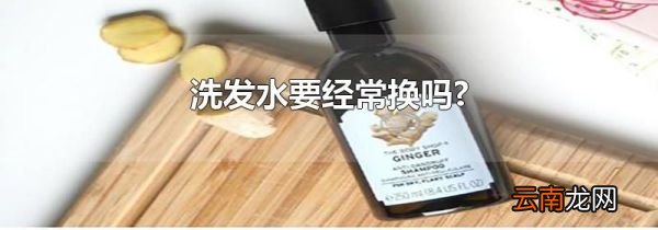 洗发水要经常换吗?