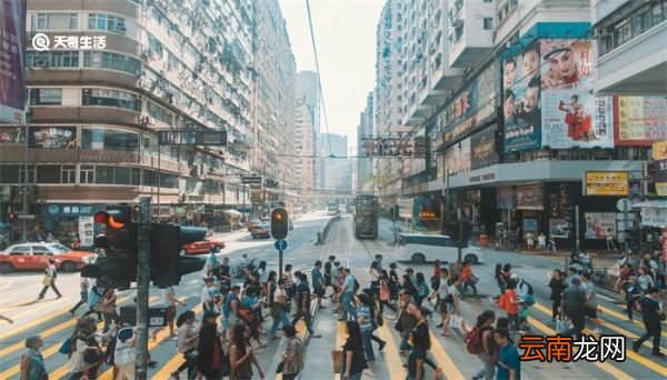 交通违章举报平台 交通违章举报平台怎么举报