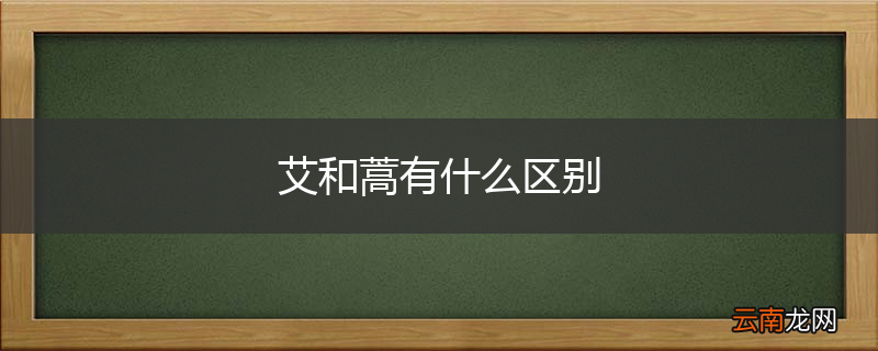 艾和蒿有什么区别