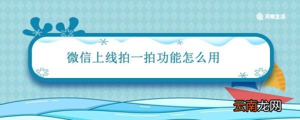 微信上线拍一拍功能怎么用