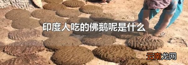印度人吃的佛鹅呢是什么