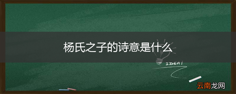 杨氏之子的诗意是什么