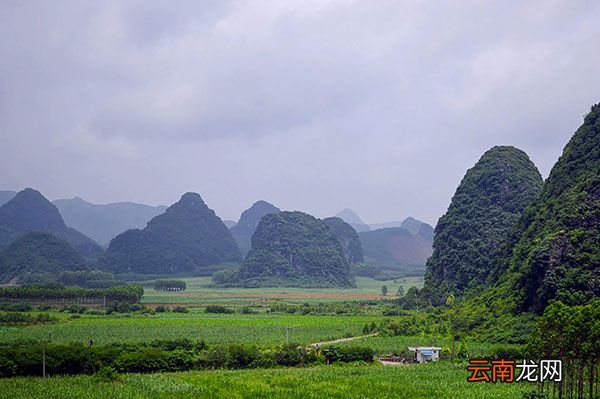 喀斯特地貌的基本特征 喀斯特地貌是怎么形成的