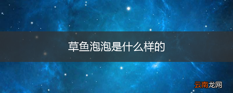 草鱼泡泡是什么样的