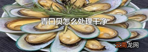 青口贝怎么处理干净