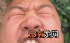 giao是啥意思？