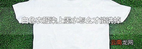 白色衣服染上墨水怎么才能洗掉