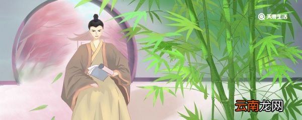 草字头有哪些字 带草字头有哪些字