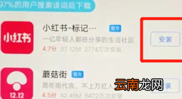 vivoz3中下载软件具体操作步骤