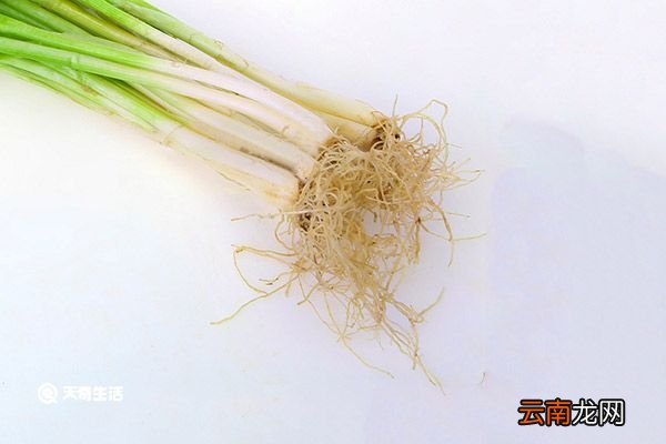 葱胡子的功效与作用 葱胡子有什么功效