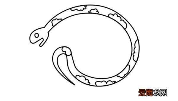爬行动物简笔画 爬行动物简笔画怎么画