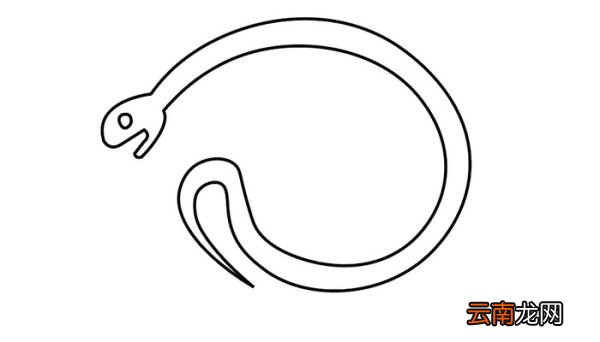 爬行动物简笔画 爬行动物简笔画怎么画