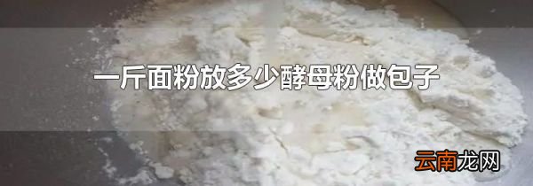 一斤面粉放多少酵母粉做包子