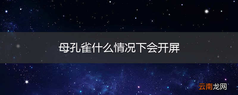 母孔雀什么情况下会开屏