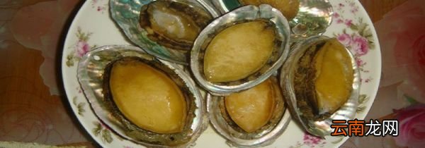 鲍鱼要煮多少分钟