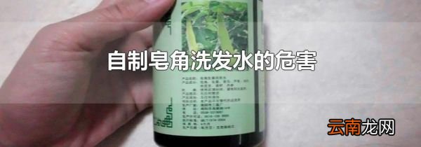 自制皂角洗发水的危害