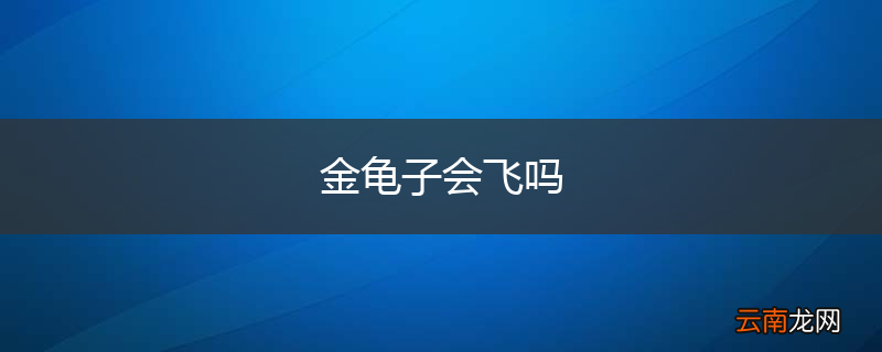 金龟子会飞吗