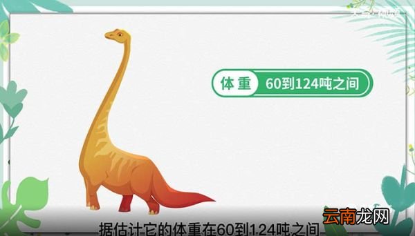 世界上最大的恐龙 世界上最大的恐龙是什么