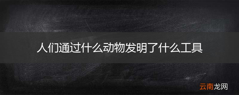 人们通过什么动物发明了什么工具