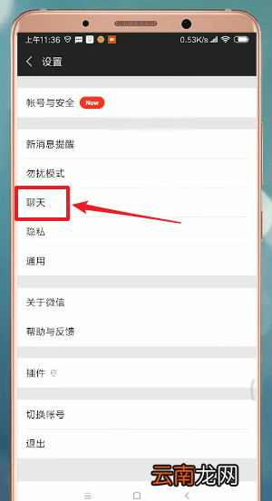 微信中界面设置皮肤具体操作流程