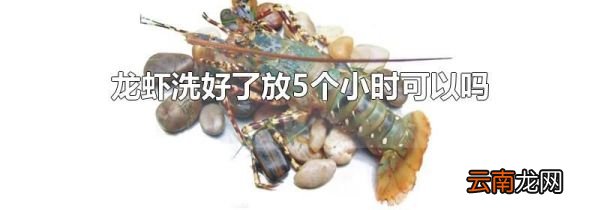 龙虾洗好了放5个小时可以吗