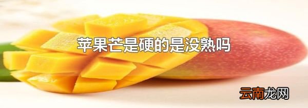 苹果芒是硬的是没熟吗