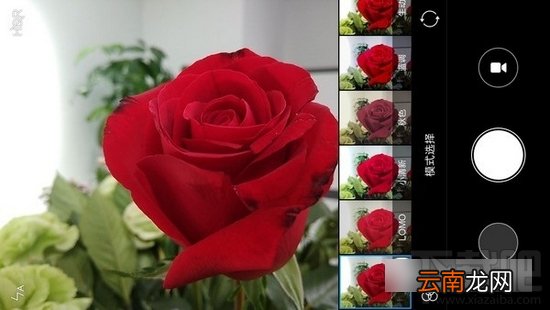 荣耀8青春版和红米Note4X哪个好 红米note4X和荣耀8青春版区别对比