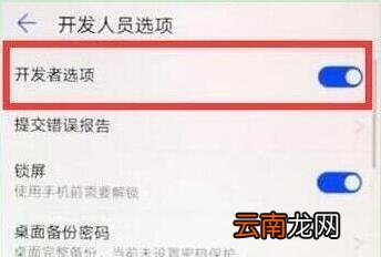 华为畅享9中将开发者选项具体操作方法