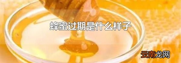 蜂蜜过期是什么样子