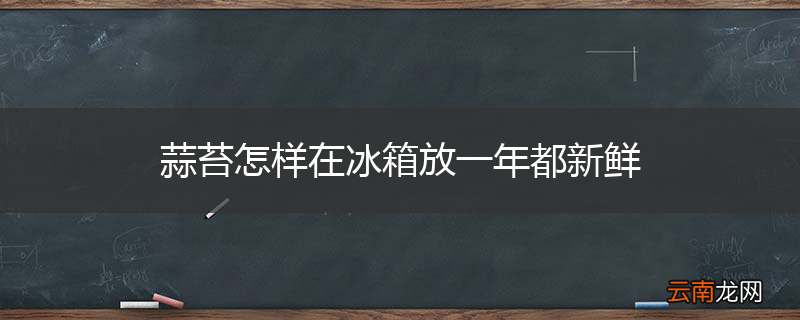 蒜苔怎样在冰箱放一年都新鲜