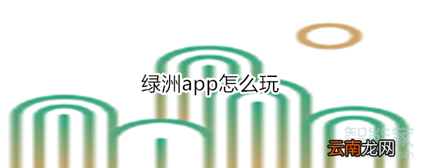 绿洲app怎么玩