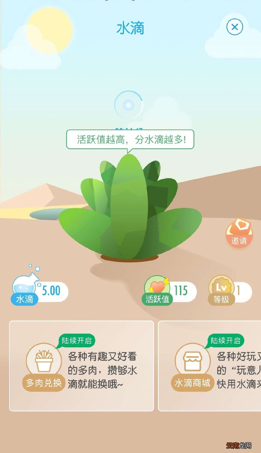绿洲app怎么玩