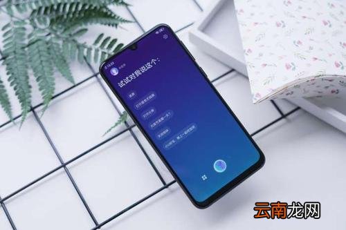 vivoz3中进行复制粘贴具体操作步骤