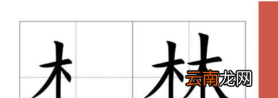 木字旁的字有哪些