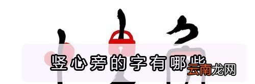 竖心旁的字有哪些