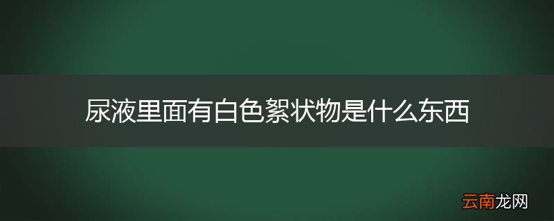 尿液里面有白色絮状物是什么东西