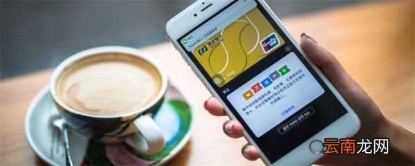 苹果12什么时候上市 苹果12什么时候上市啊