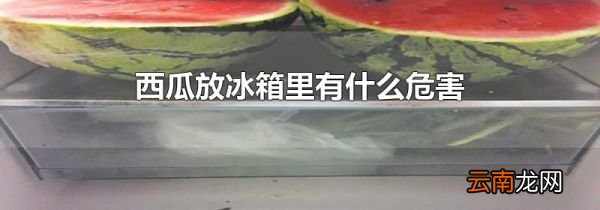 西瓜放冰箱里有什么危害