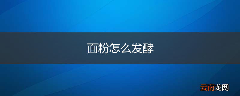 面粉怎么发酵