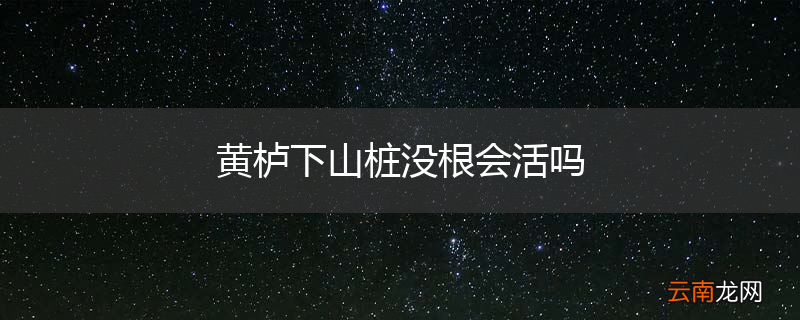 黄栌下山桩没根会活吗
