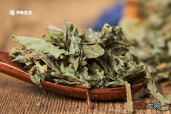 七七牙草的功效 七七牙草功效与作用