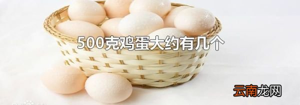 500克鸡蛋大约有几个
