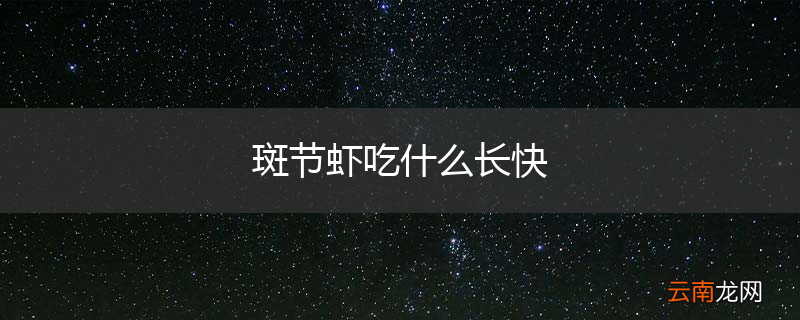 斑节虾吃什么长快