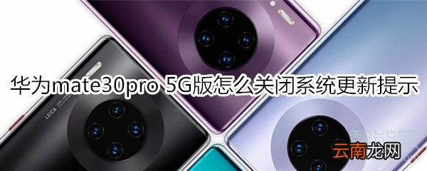 华为mate30pro 5G版怎么关闭系统更新提示