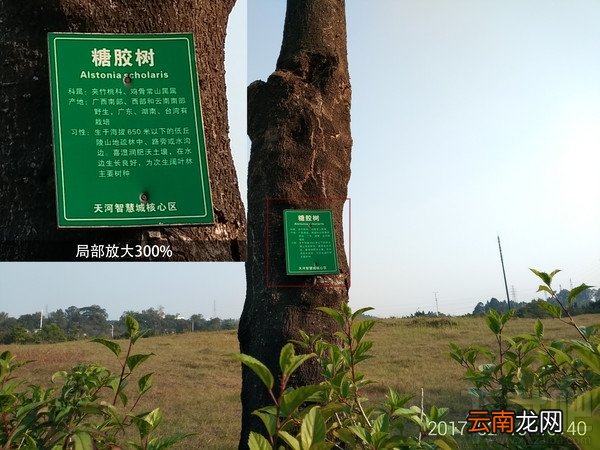 360手机N5好不好用？360手机N5最全面体验评测详情