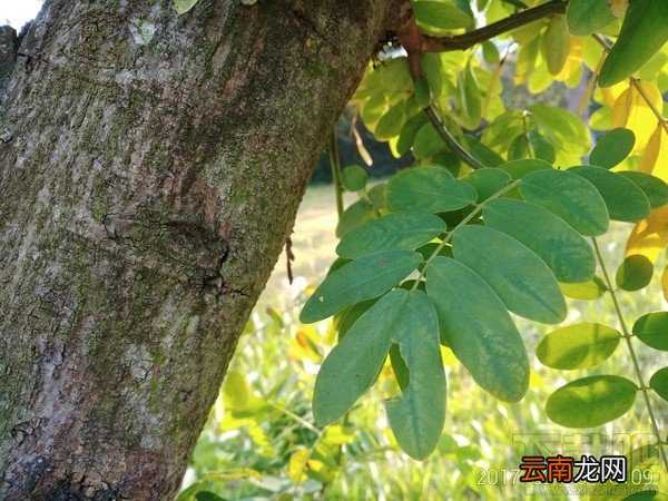 360手机N5好不好用？360手机N5最全面体验评测详情