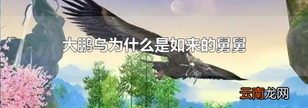 大鹏鸟为什么是如来的舅舅
