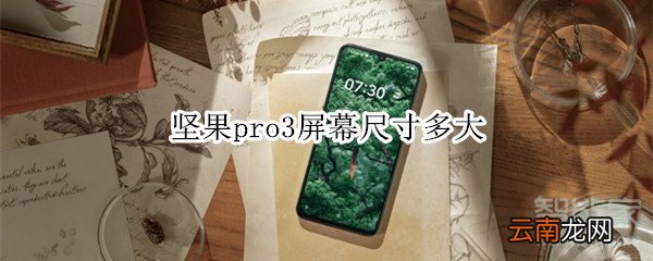 坚果pro3屏幕尺寸多大