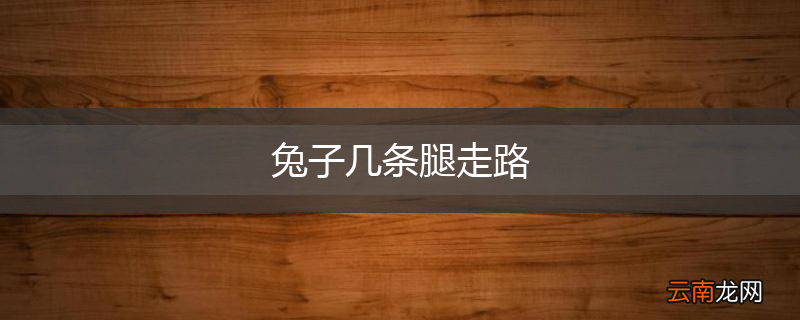 兔子几条腿走路