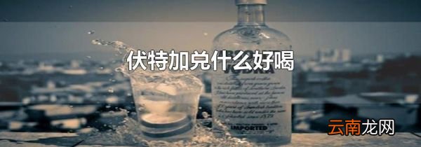 伏特加兑什么好喝